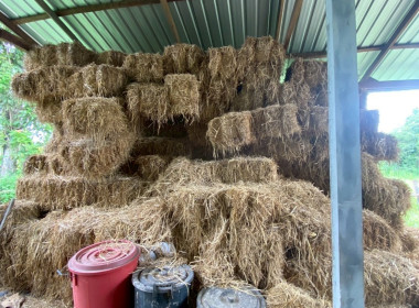 ลงพื้นที่ติดตามผลดำเนินโครงการสร้างมูลค่าเพิ่มจากวัสดุเหลือใช้ทางการเกษตร ปีงบประมาณ พ.ศ. 2568 พื้นที่จังหวัดมหาสารคาม ... พารามิเตอร์รูปภาพ 17